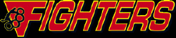 fighterlogo_big