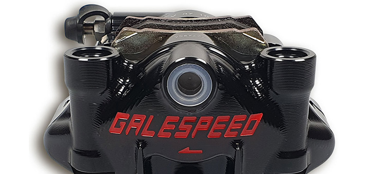 Gale Speed Hinterradbremsen