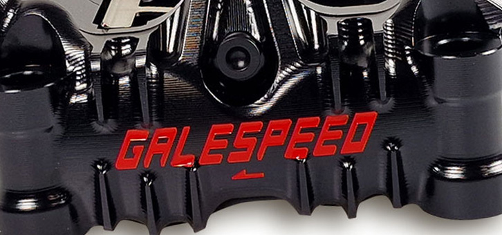Gale Speed