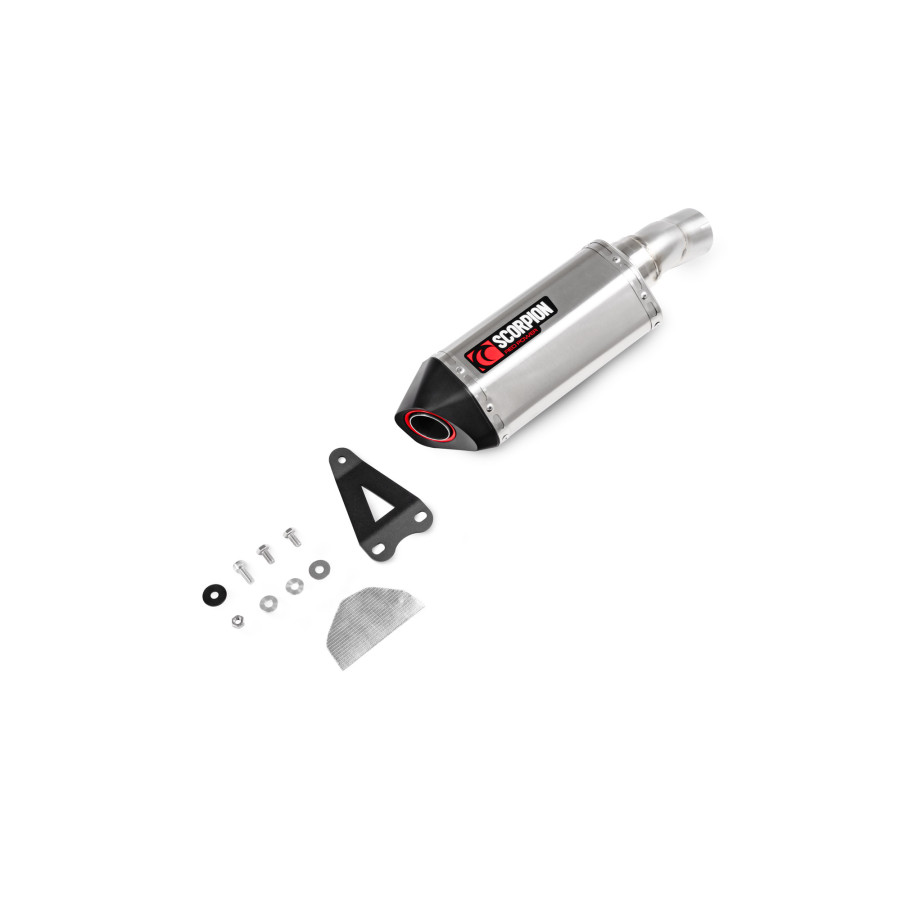 Scorpion Serket Parallel Auspuff für BMW S 1000 XR 2020-2024 Motorräder