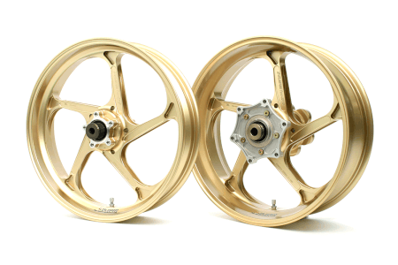 type-gp1s-web